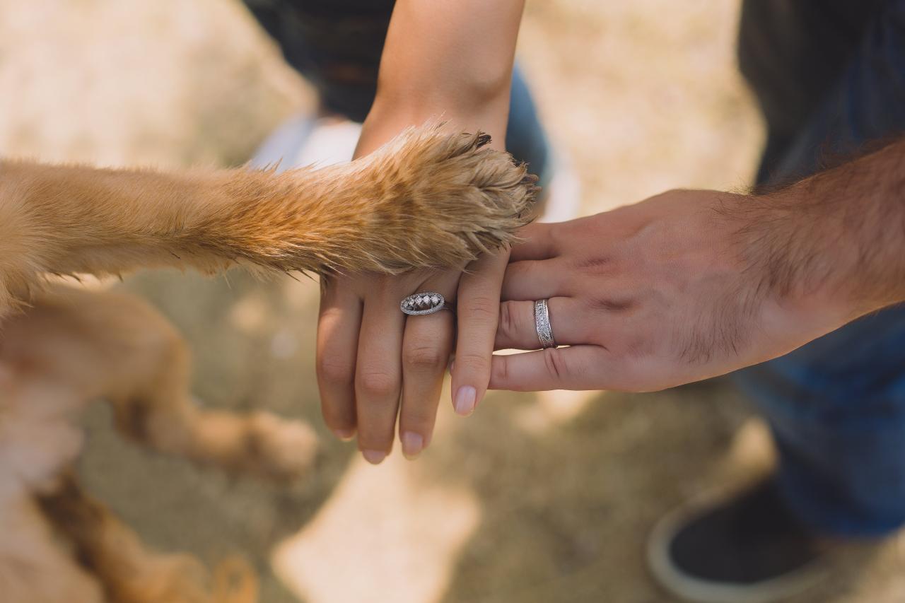 Free for two people with rings on ring fingers material picture